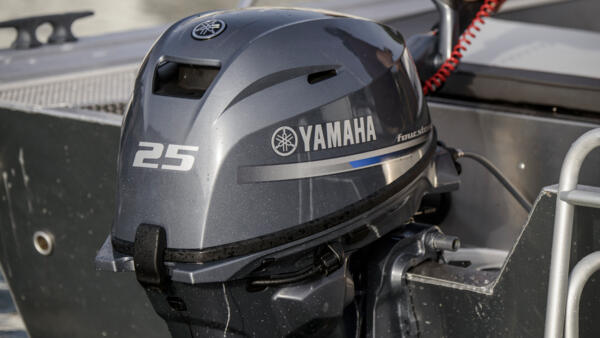 25 HP - Imagen 3
