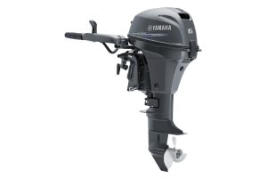 PORTABLES (6-2,5 HP)